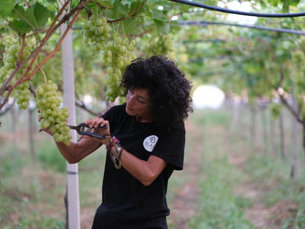 emilia blasi rivoluzione agricola coltivazione uva