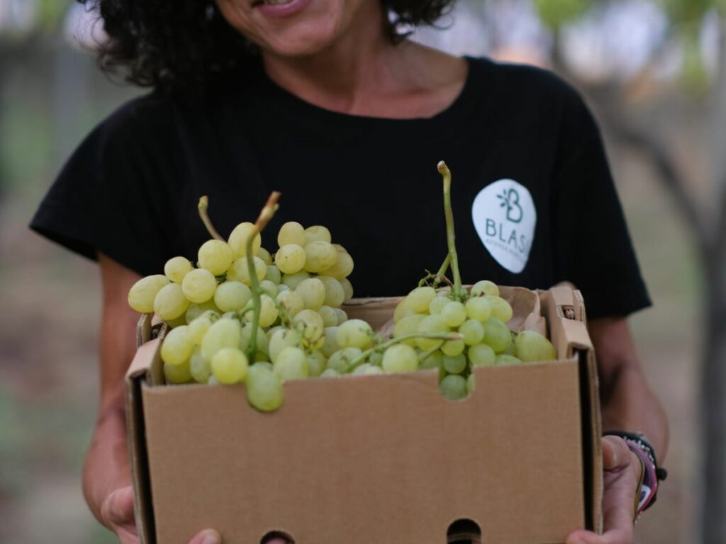 emilia blasi rivoluzione agricola coltivazione uva